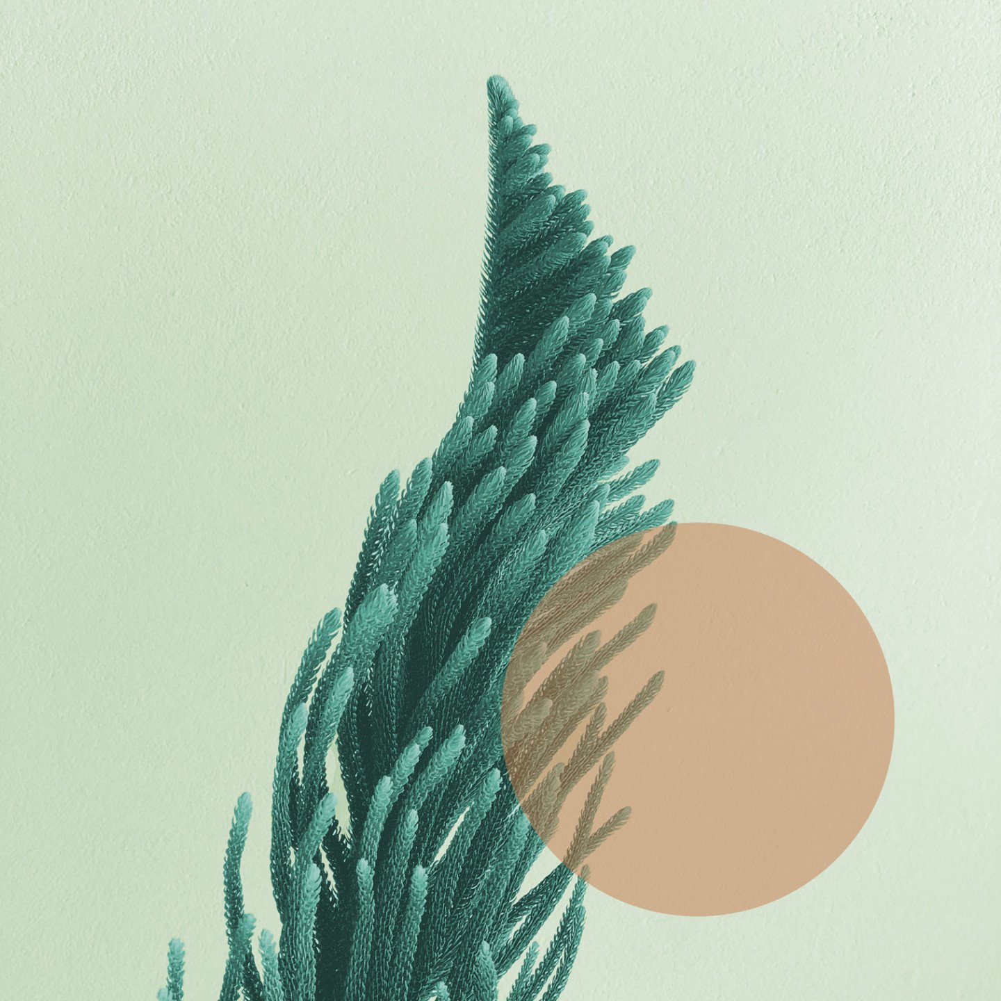 An image with a fern-like plant looking like it is swaying in the wind